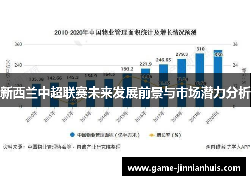 新西兰中超联赛未来发展前景与市场潜力分析